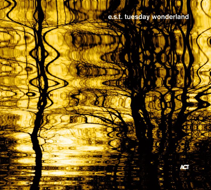 e.s.t. - Tuesday Wonderland