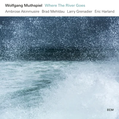 Wolfgang Muthspiel - Where the river goes